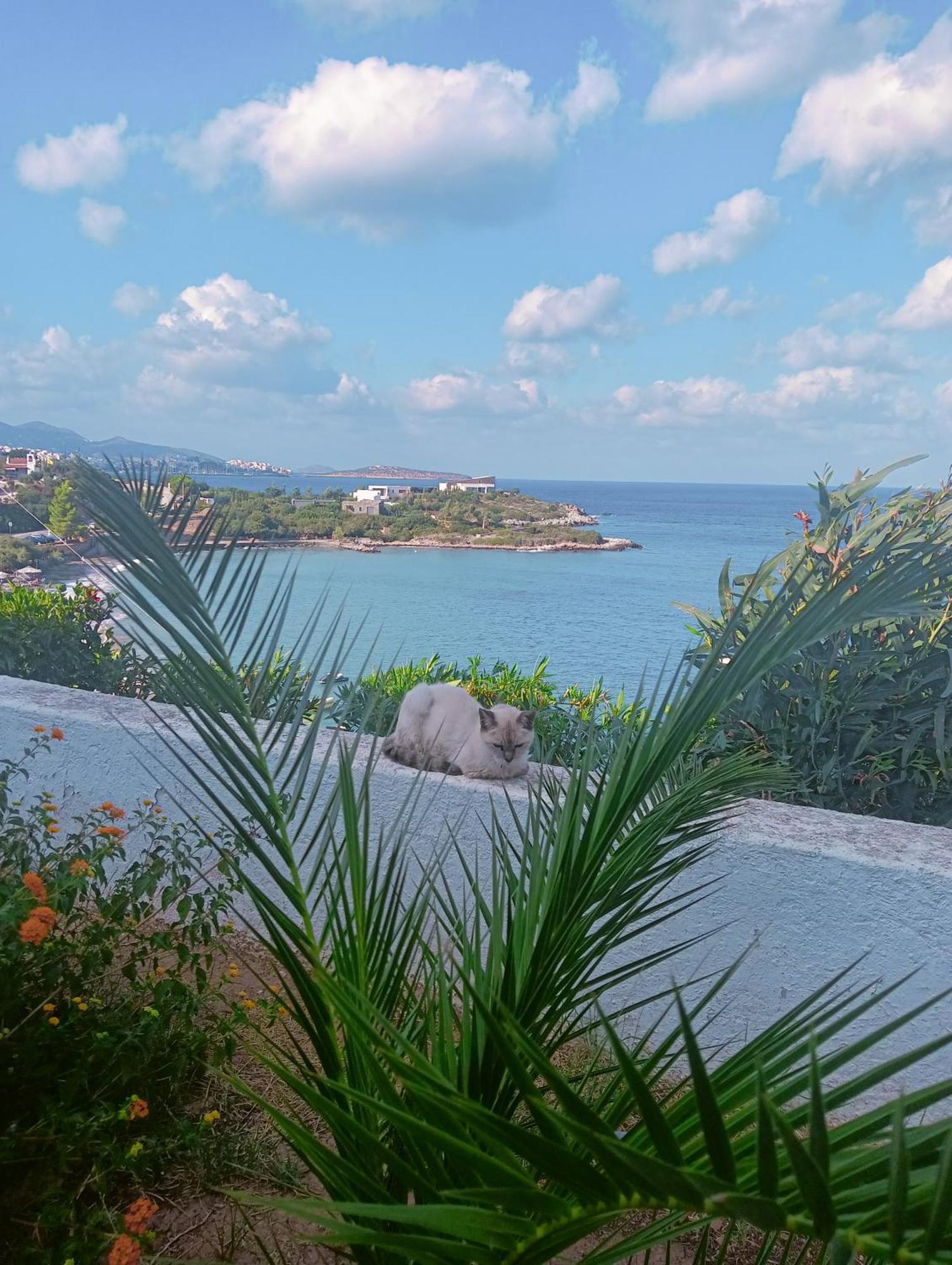 Residence Gerani Amoudara  Ngoại thất bức ảnh